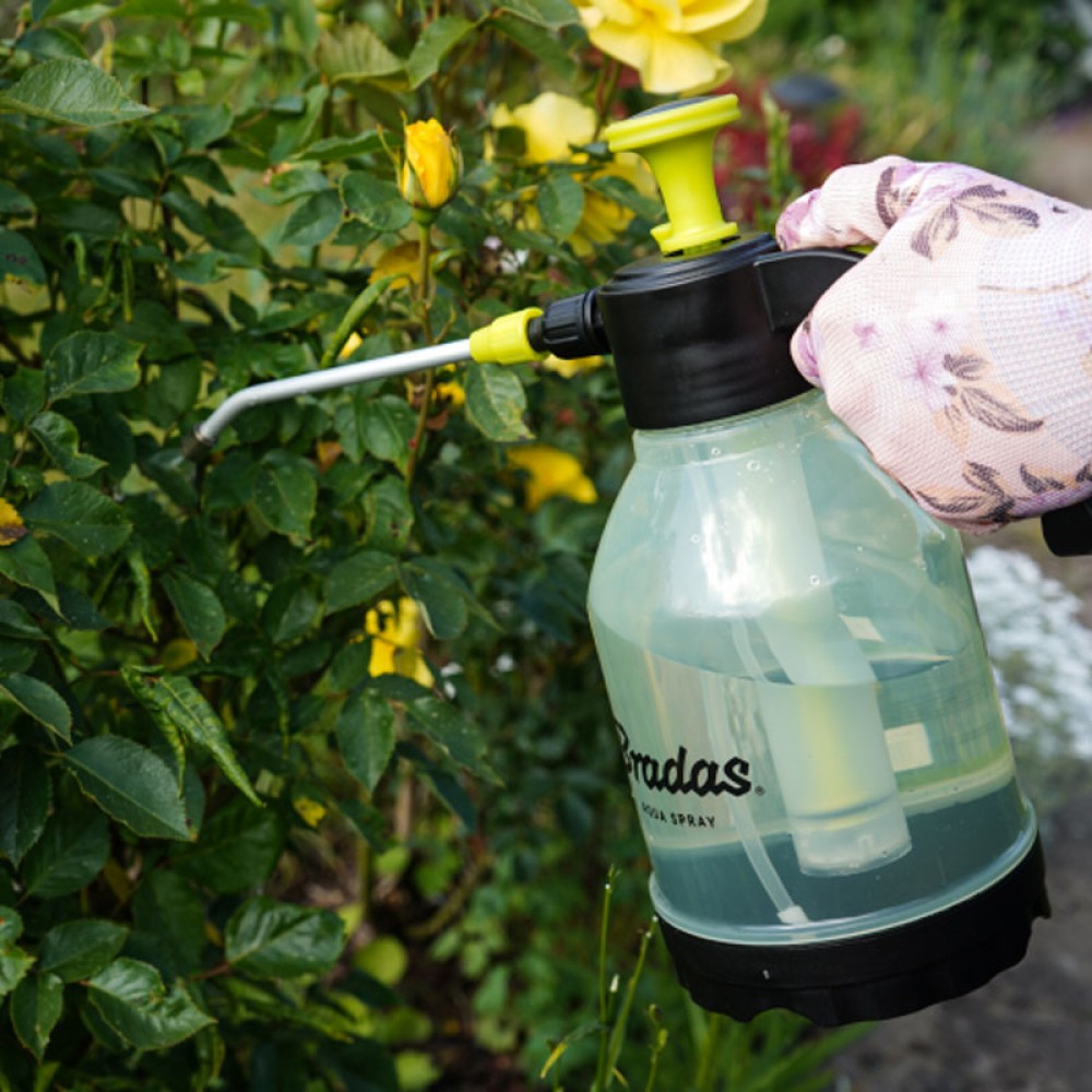 Bradas kézi permetező Aqua Spray Clear,1,5 l
